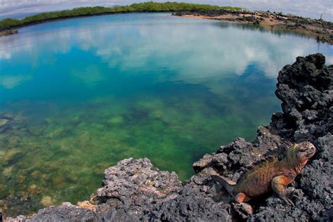 A Paradise for Nature Lovers: Galapagos Magic Lodge